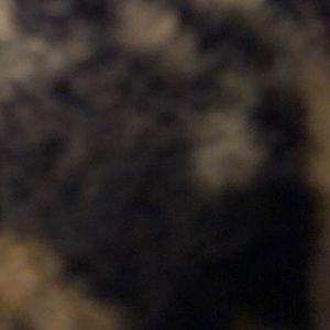 Meet your Posher, Ellie